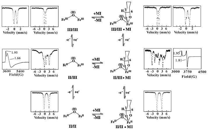 Scheme 2