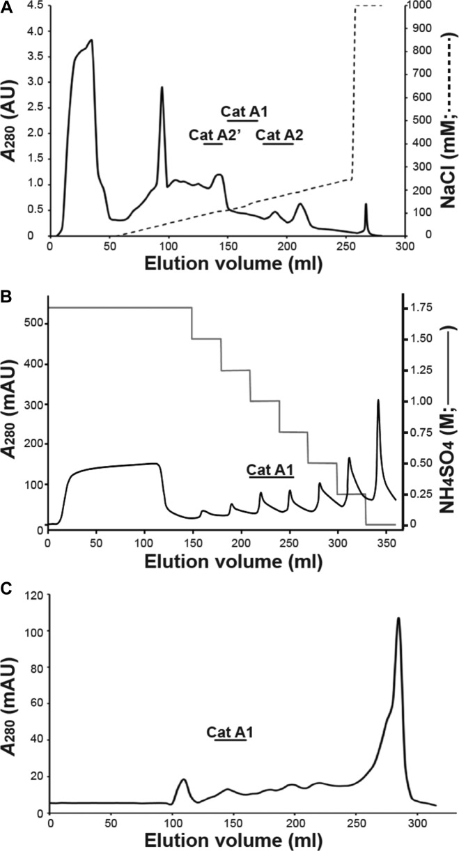 FIG 2