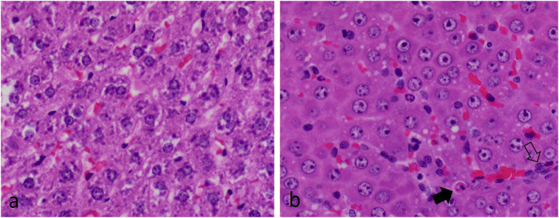 Fig. 11