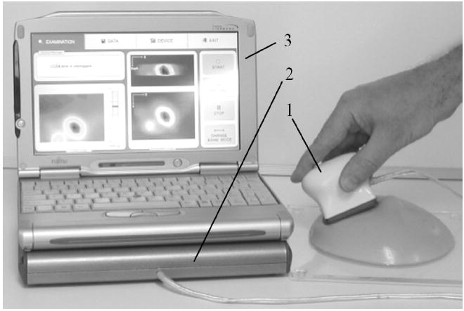 Fig. 1