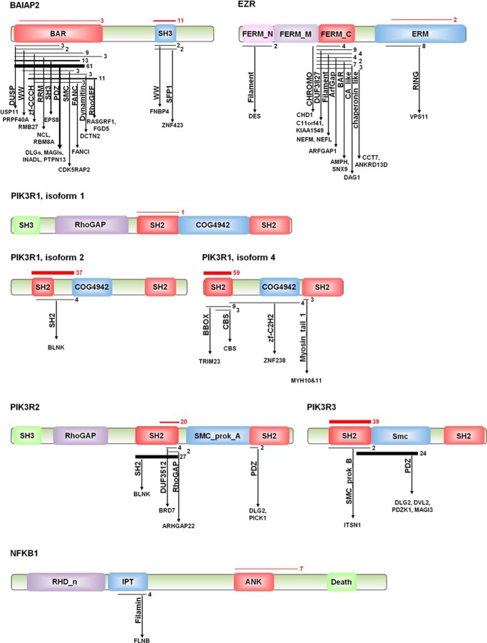 FIGURE 6.