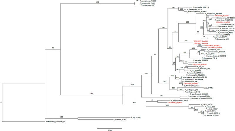 FIGURE 1