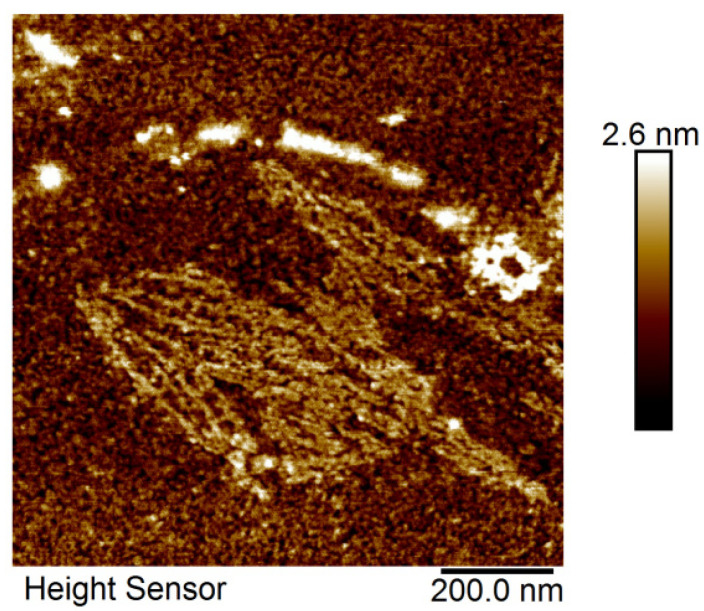 Figure 3