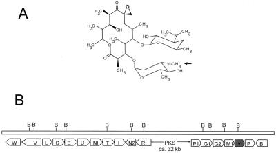 FIG. 1