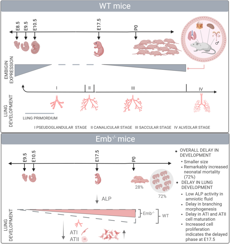 Figure 6