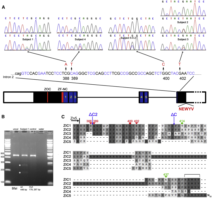 Figure 2
