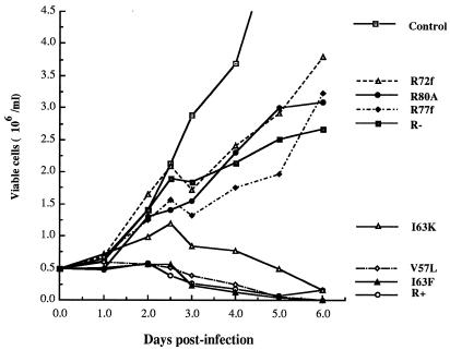 FIG. 3