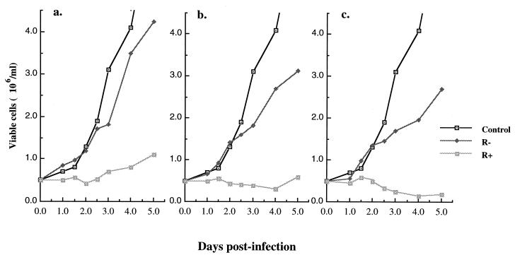 FIG. 1