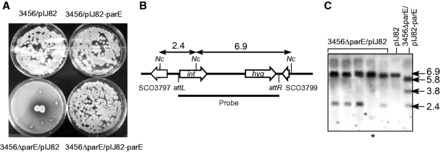 Figure 6.