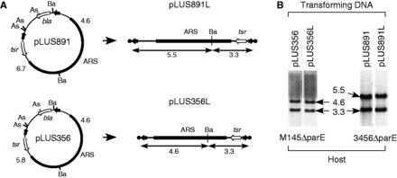 Figure 5.