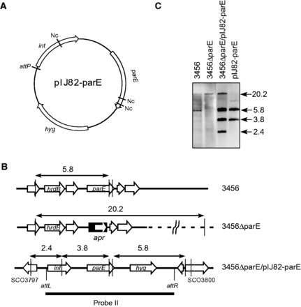 Figure 4.