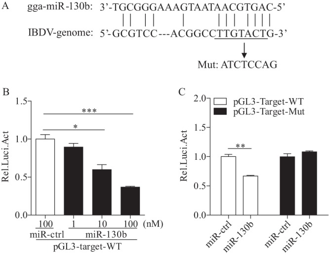 FIG 6