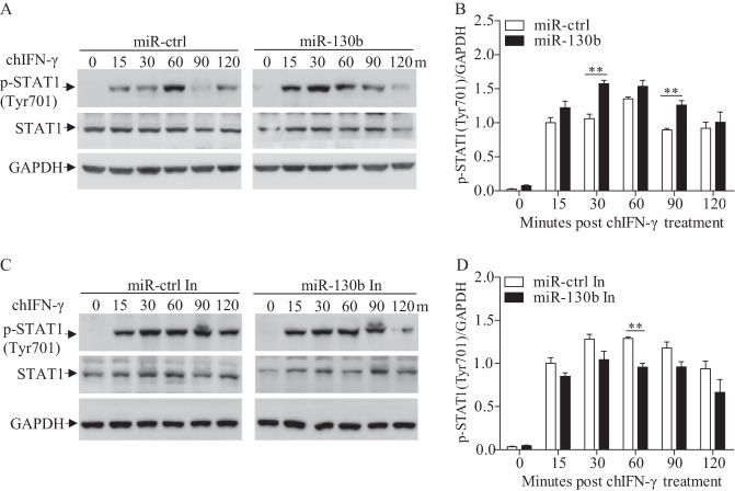 FIG 10