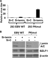 FIG. 9.