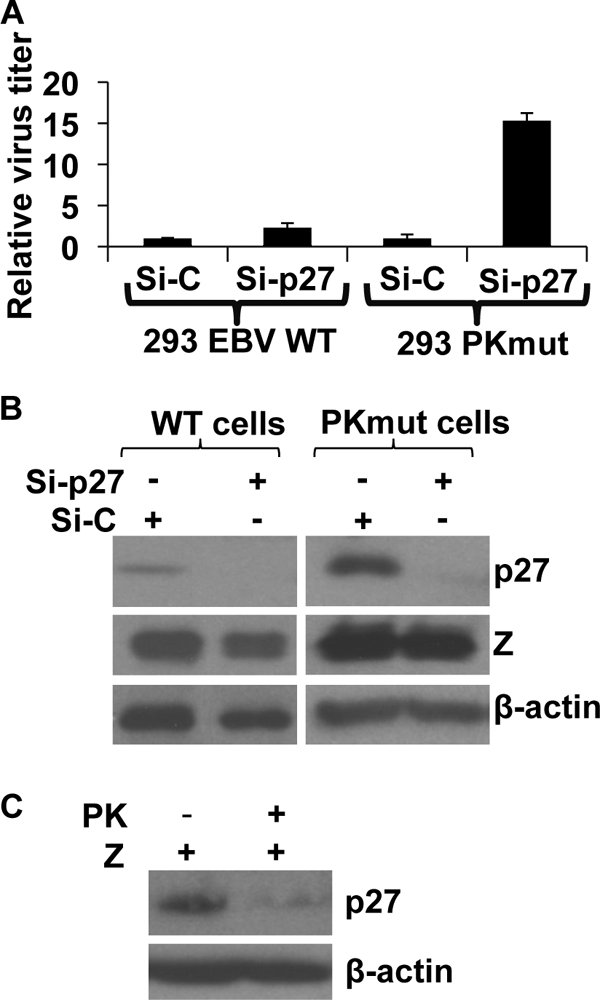 FIG. 8.