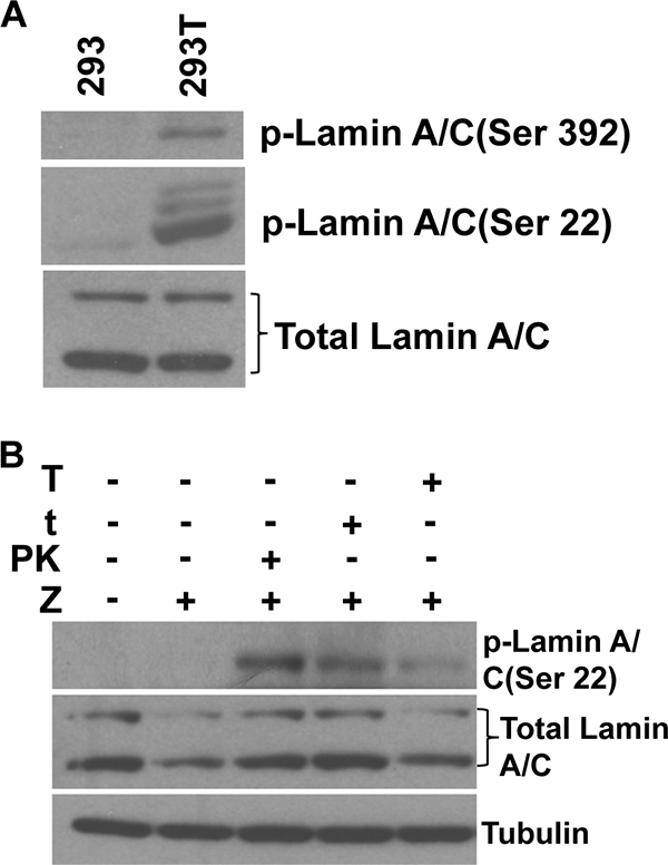 FIG. 10.