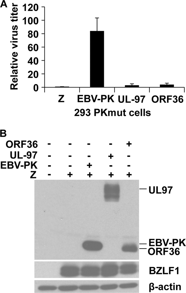 FIG. 5.