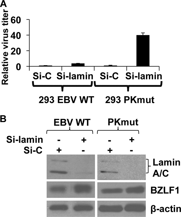 FIG. 9.