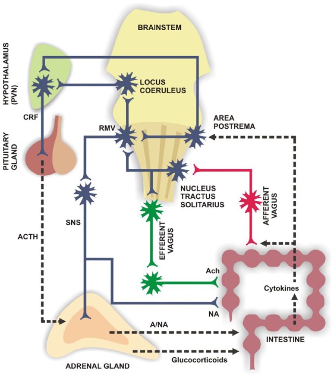 Figure 3.