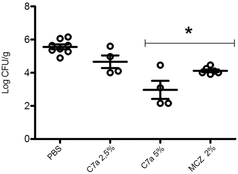 FIGURE 6