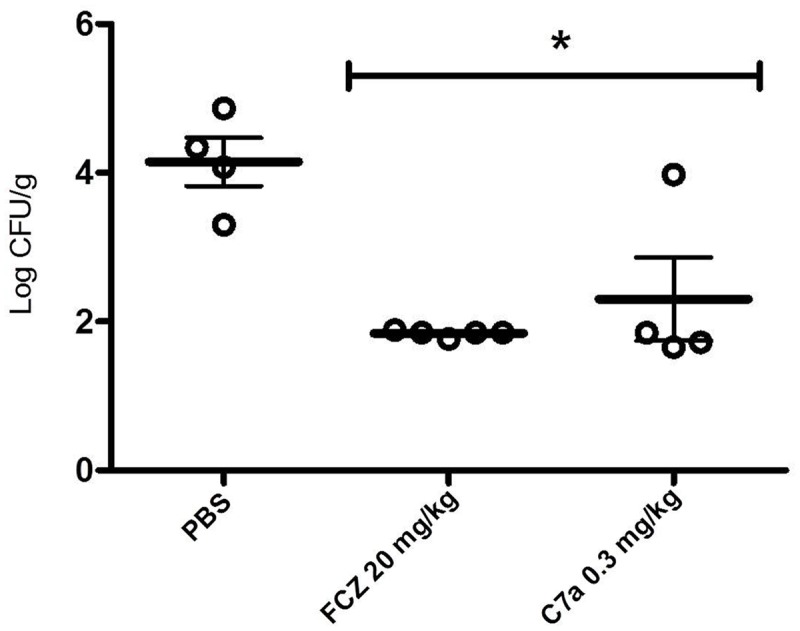 FIGURE 4