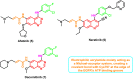 Fig. 6