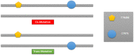 Fig. 35