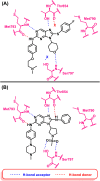 Fig. 12