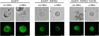 FIG 6
