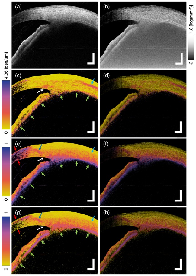 Fig. 6