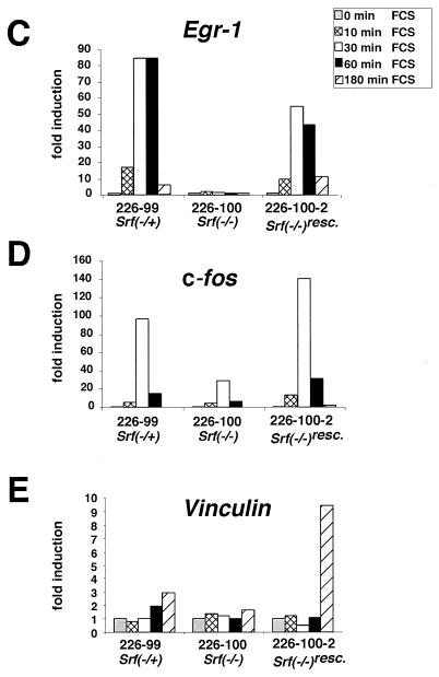 FIG. 5