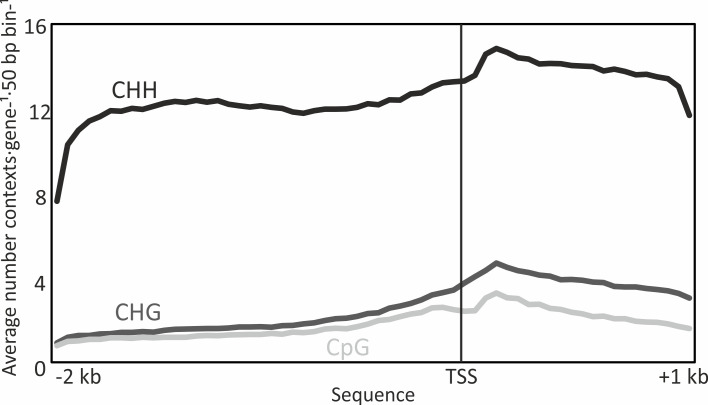 Figure 2