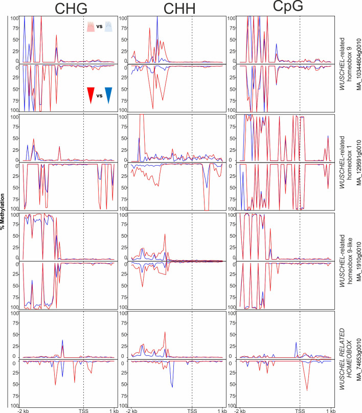 Figure 5