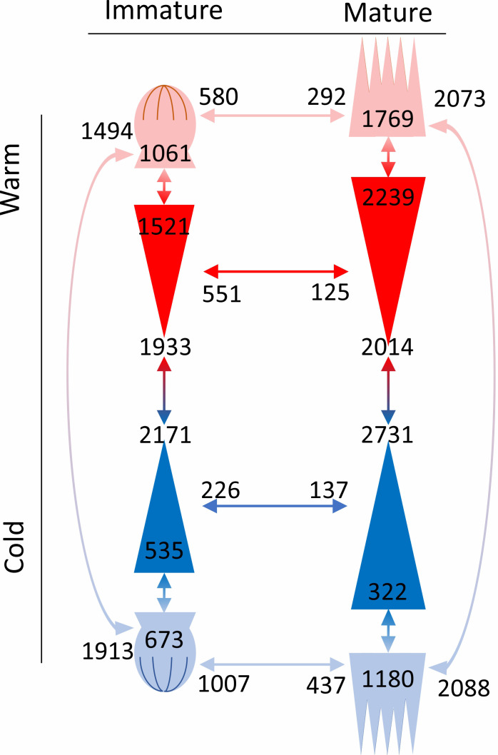 Figure 7