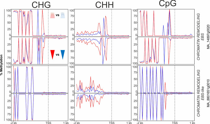 Figure 6