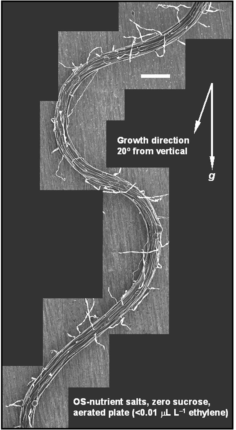 Figure 8.