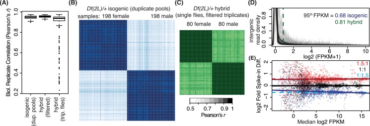 Fig 10