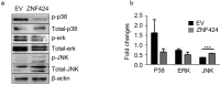Fig. (4)