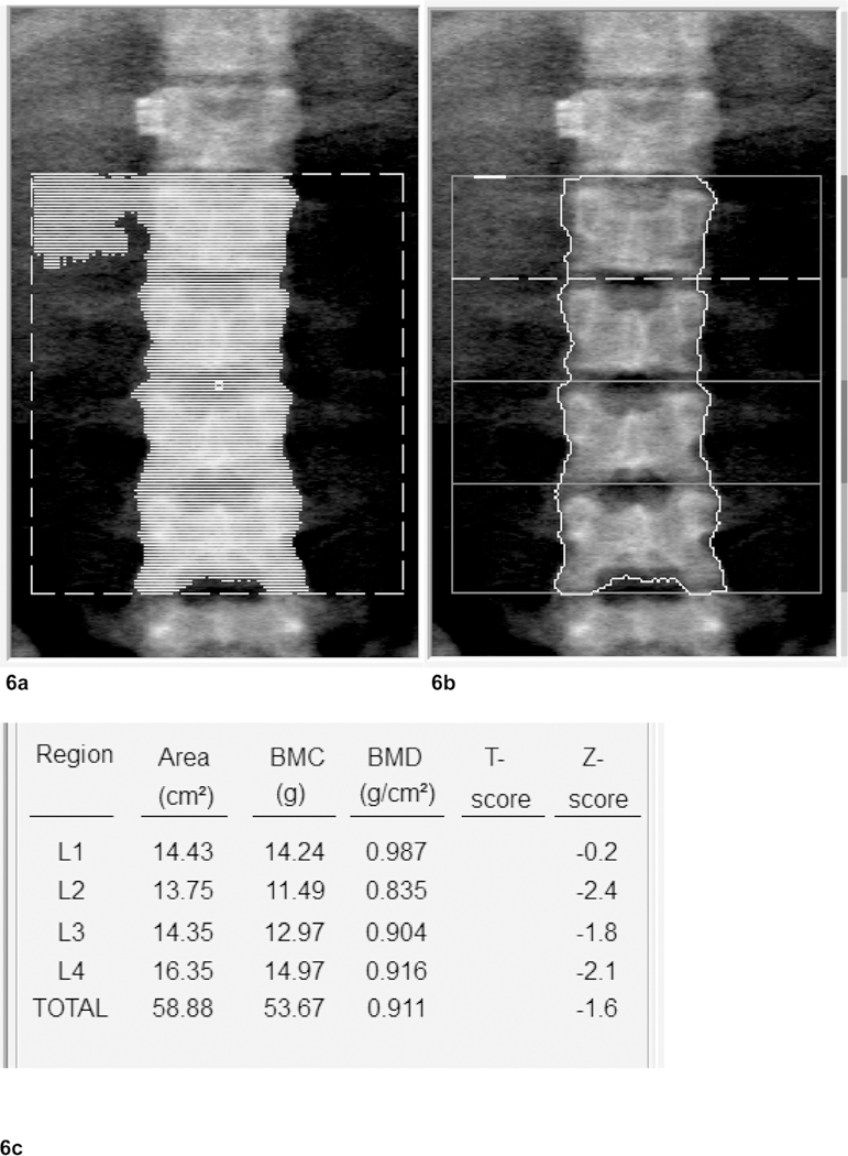 Fig. 6.