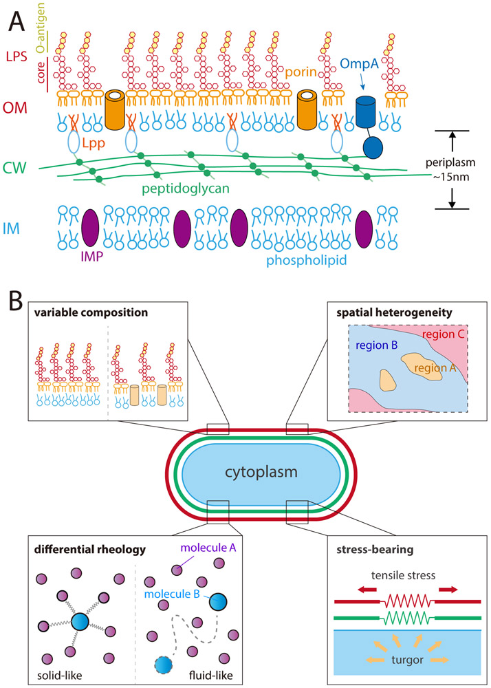 Figure 1: