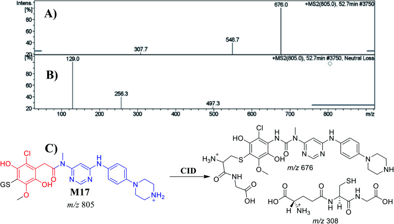 Fig. 10