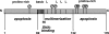 FIG. 2.