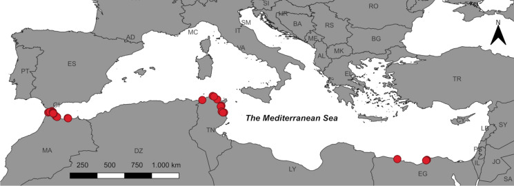 Fig. 1