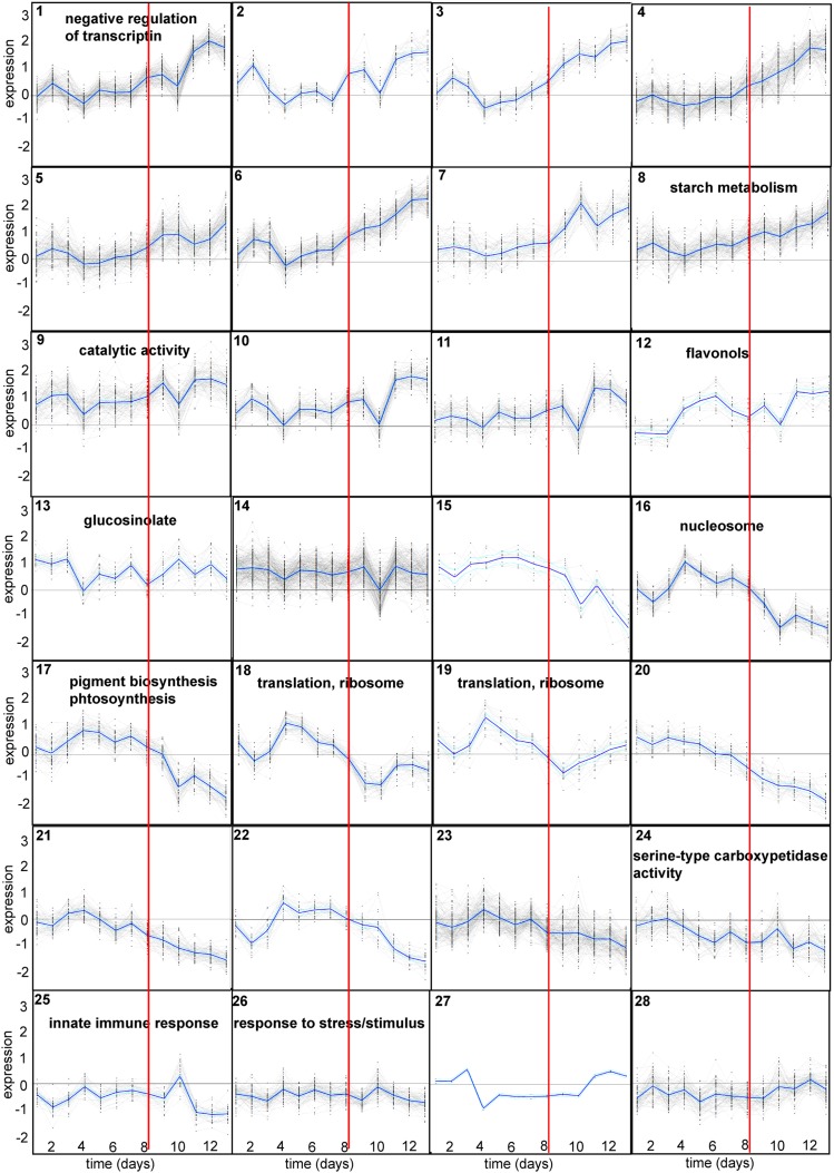 Figure 7.