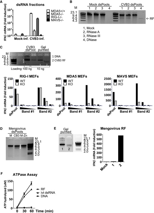 Figure 3