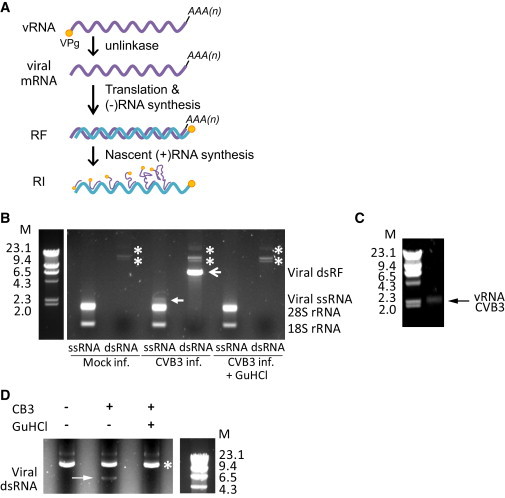 Figure 2