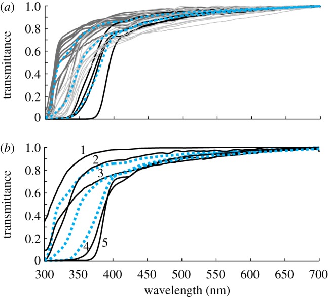 Figure 4.