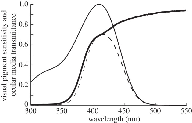 Figure 1.