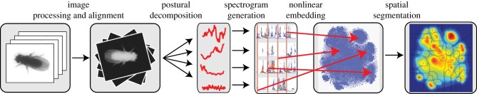 Figure 2.