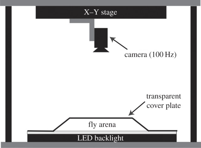 Figure 1.